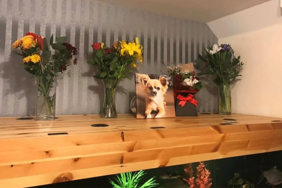 Dieses Abschiedsfoto postete Cara Farrant am Samstag.