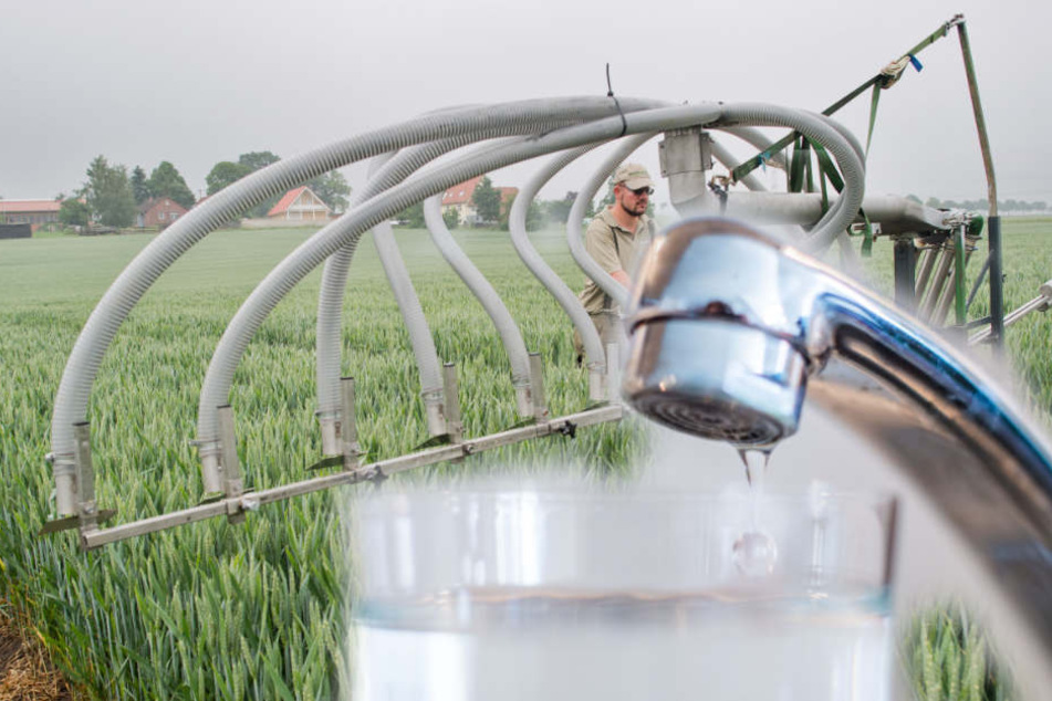 Pestizide aus der Landwirtschaft gelangen in Grundwasser. (Symbolbild)