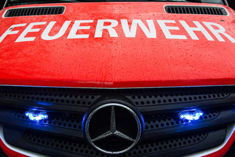 Jede Menge neue Fahrzeuge für die Berliner Feuerwehr.