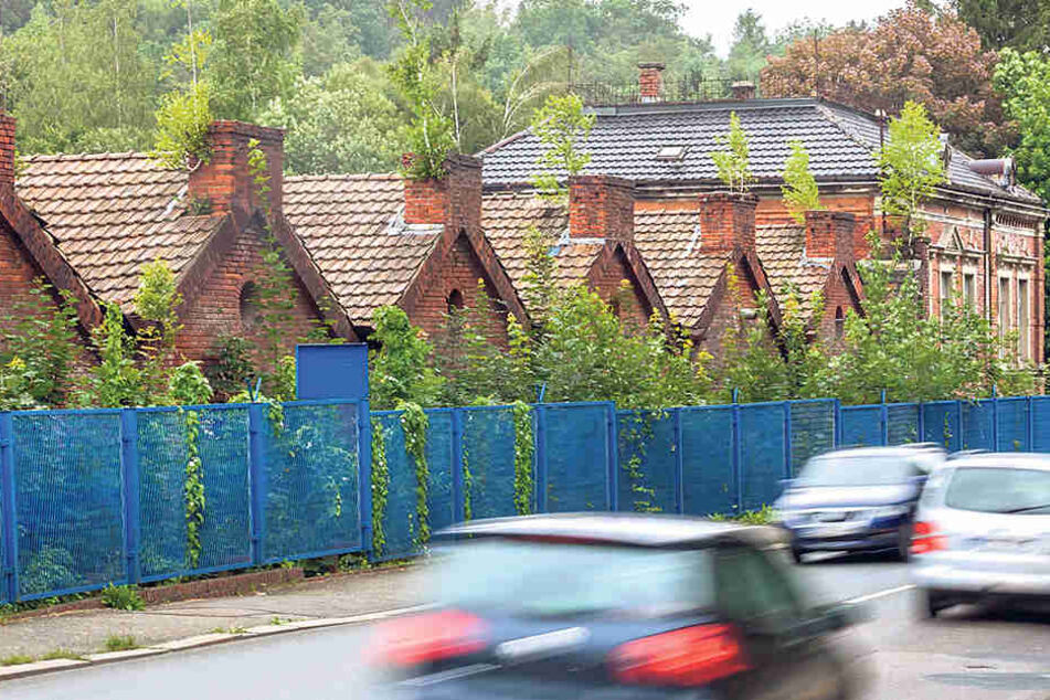 Auch die Spinnerei Schäfer an der Annaberger Straße verfällt weiter.