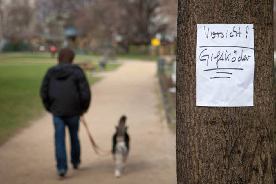Giftköder versetzten Dortmunder Hundehalter in Angst und Schrecken.