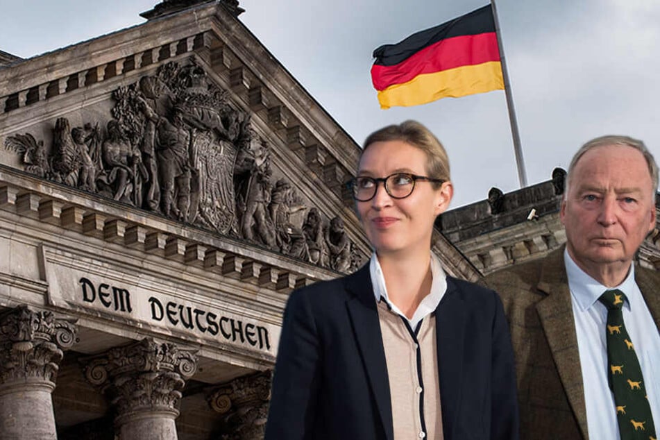 Wird die AfD in den Bundestag einziehen? Aktuelle Umfragen sagen "ja".