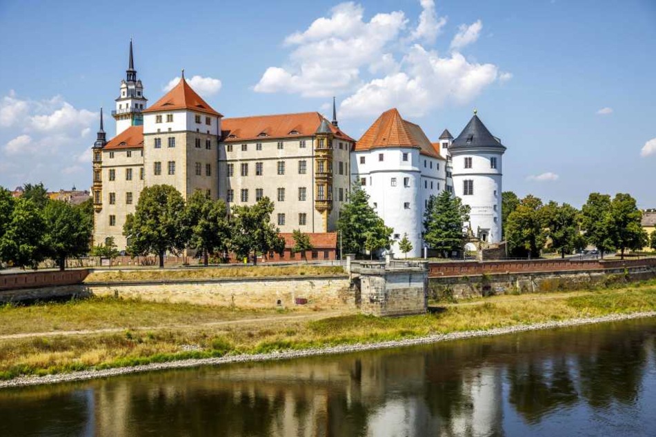 Schloss Hartenfels thront in Torgau über der Elbe. Seit fast 600 Jahren werden dort Bären gehalten. Sie gehören zum Schloss wie der Große Wendelstein, der Lange Gang oder die Schlosskapelle.