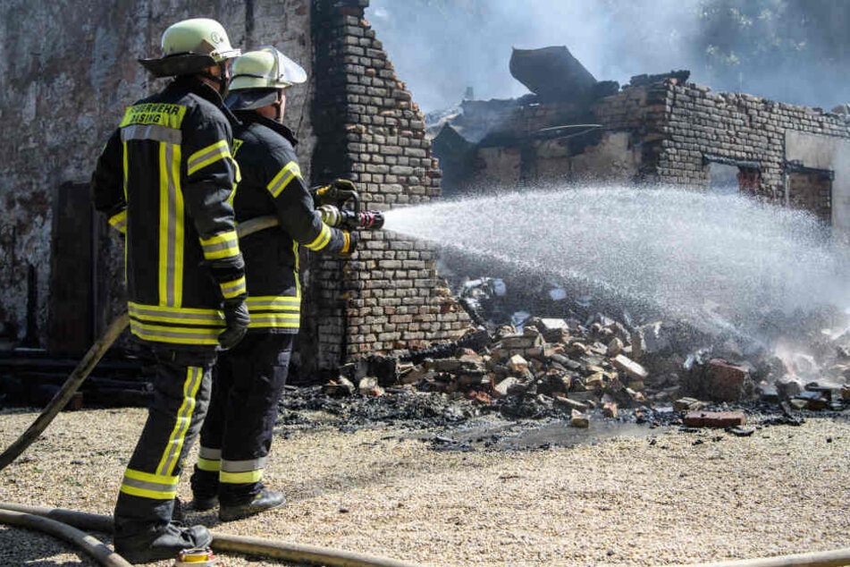 Insgesamt 408 Feuerwehrmänner waren im Einsatz. Erst nach Stunden war der Brand gelöscht.