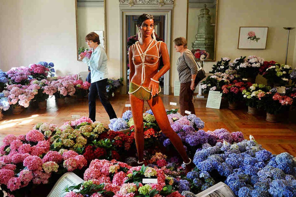 Josephine Baker verführt in einem Meer aus Hortensien im Landschloss
Zuschendorf.