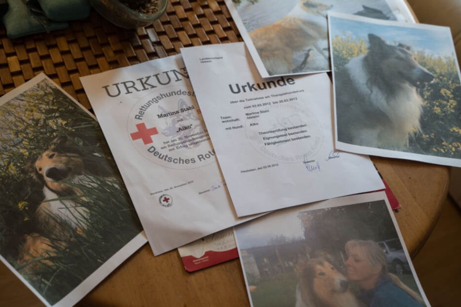Der Collie war unter anderem ein ausgebildeter Therapiehund.
