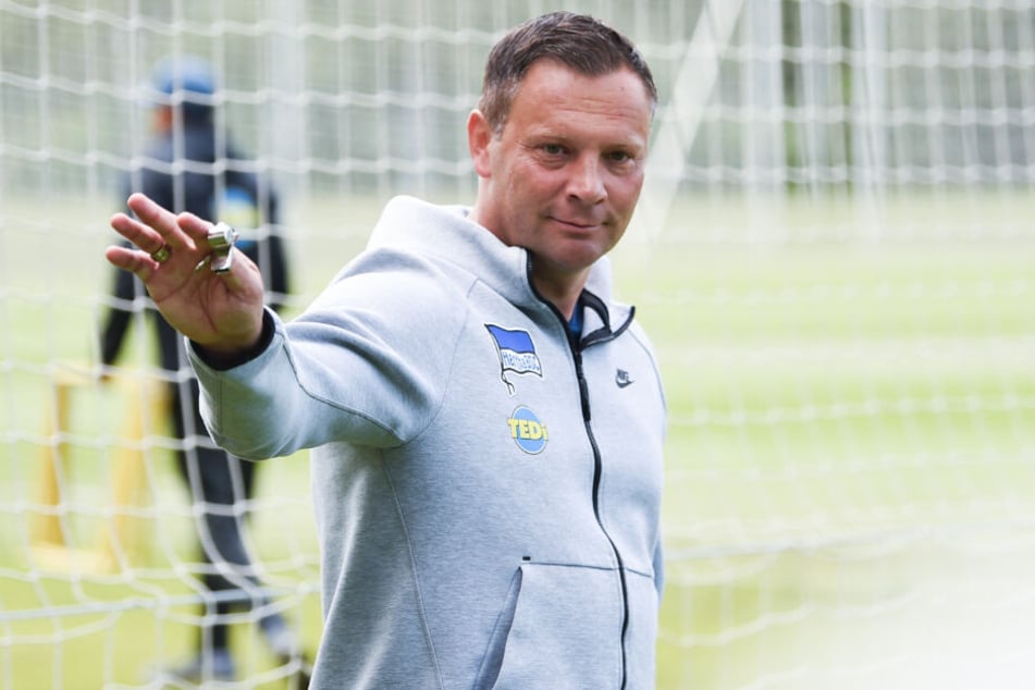 Pal Dardai wird Hertha auf der USA-Reise nicht begleiten.