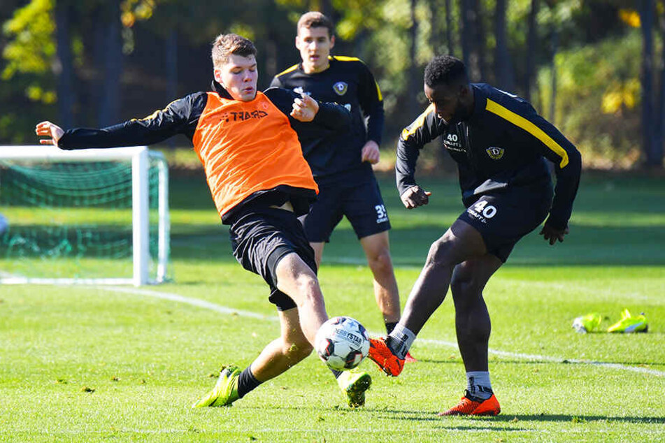 Kevin Ehlers (l.) beim Dynamo-Training im Kampf um den Ball mit Erich Berko.