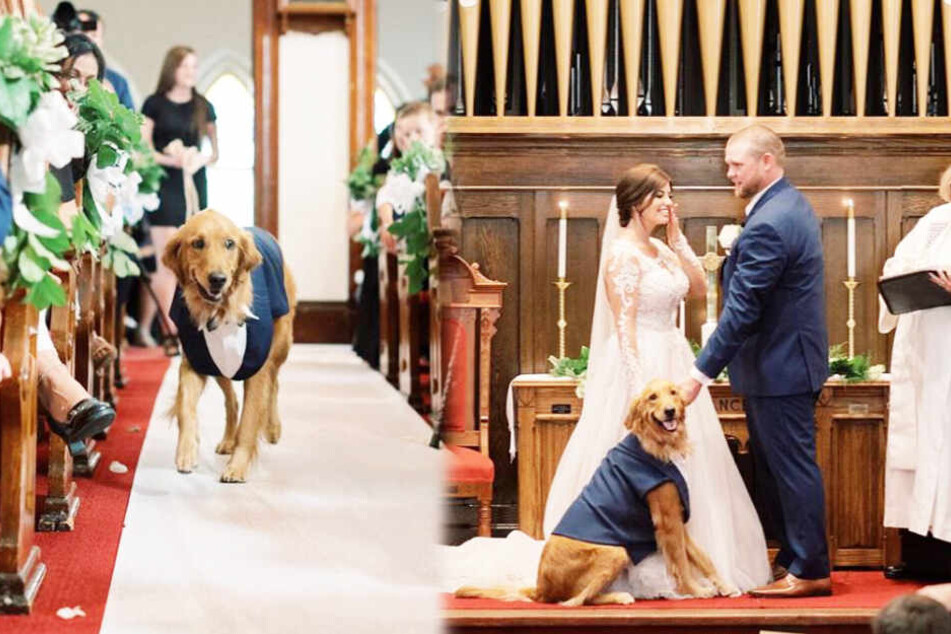 Dieser Hund stiehlt dem Brautpaar die Show