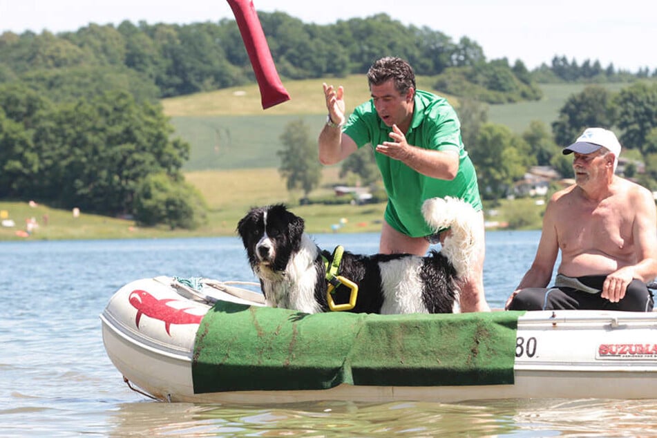 Das Training erfolg vom Boot aus, hier Landseer Frieda mit Herrchen Ralf Blümel, rechts Uwe Heidenfelder. Frieda trägt ein Rettungsgeschirr, an dem sich Ertrinkende festhalten können.