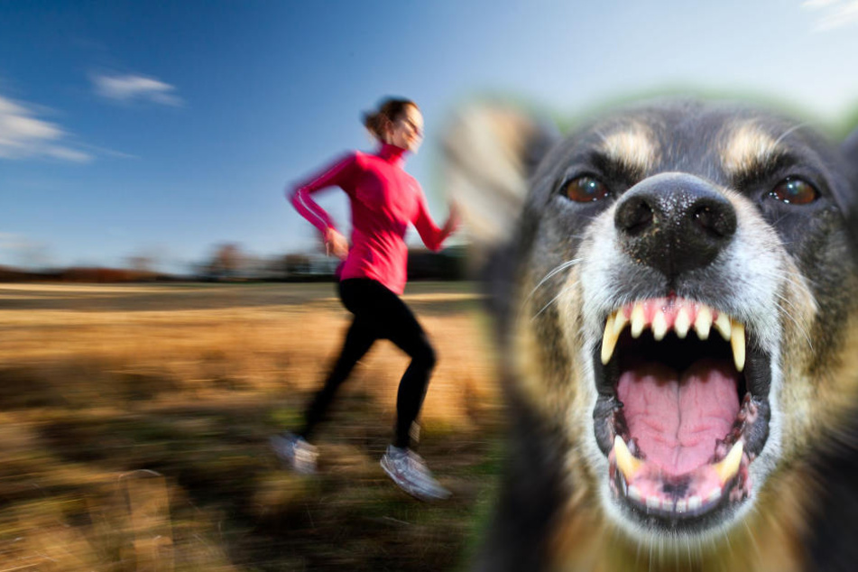 Der Hund riss die Joggerin um, dann biss er zu. (Symbolbild)