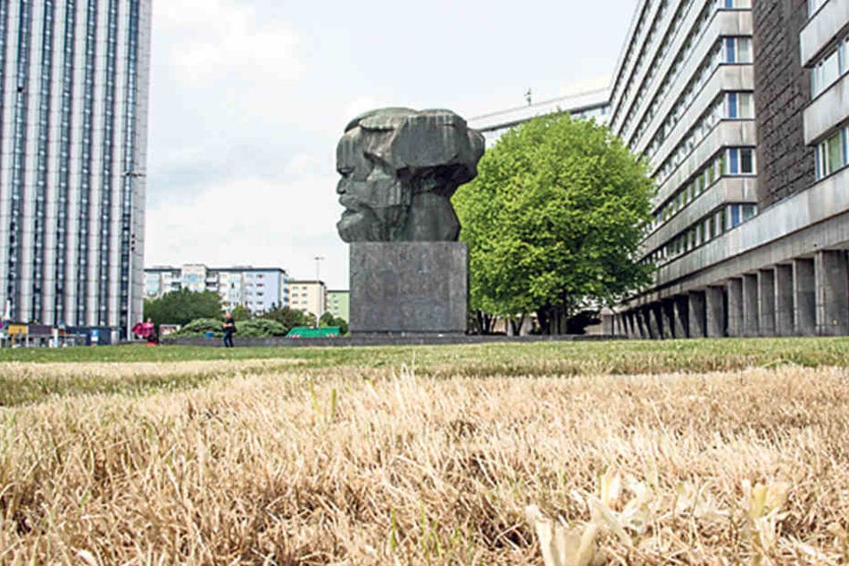 Zum 875. Stadtjubiläum soll der „Nischel“ in einem Blütenmeer versinken.