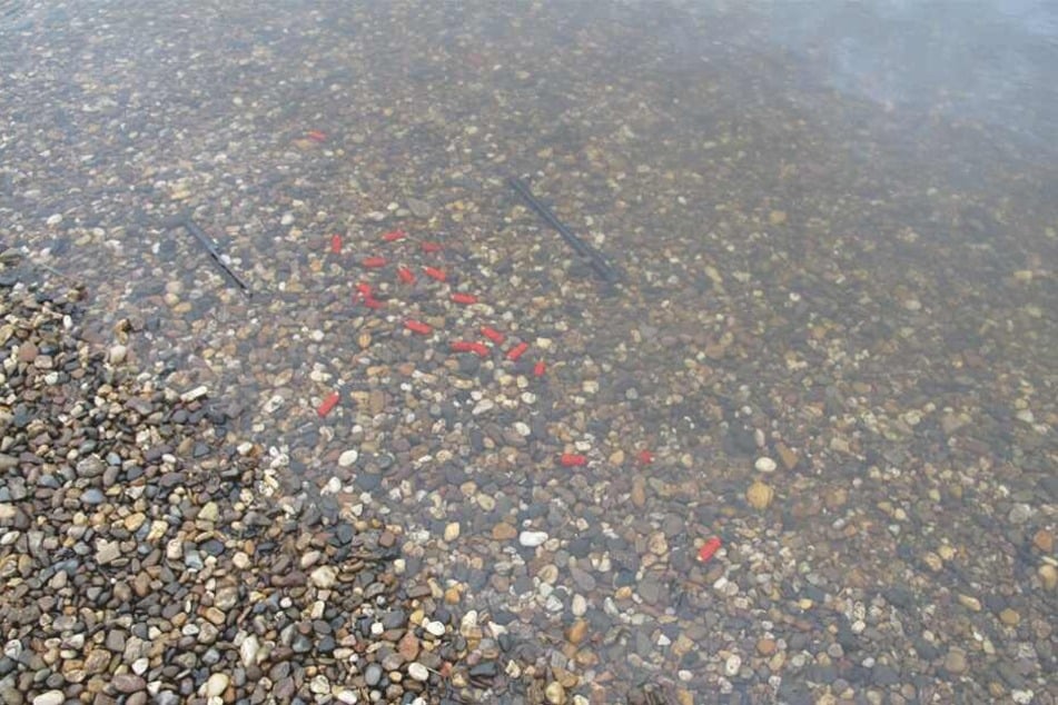 Mehrere Patronen sowie Waffenbauteile wurden aus der Elbe geborgen.