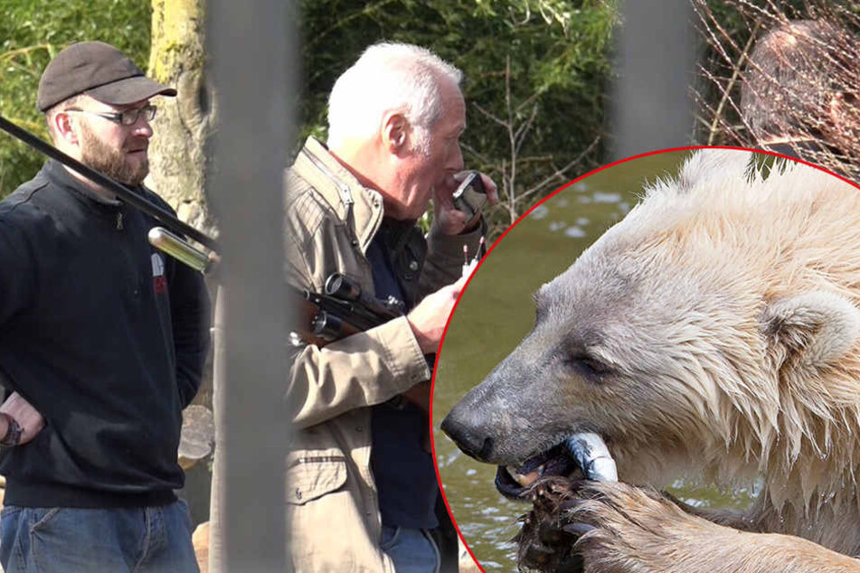 Zoodirekter Michael Böer (Mi.) gab nun die Ursache für den Ausbruch von Tips bekannt.
