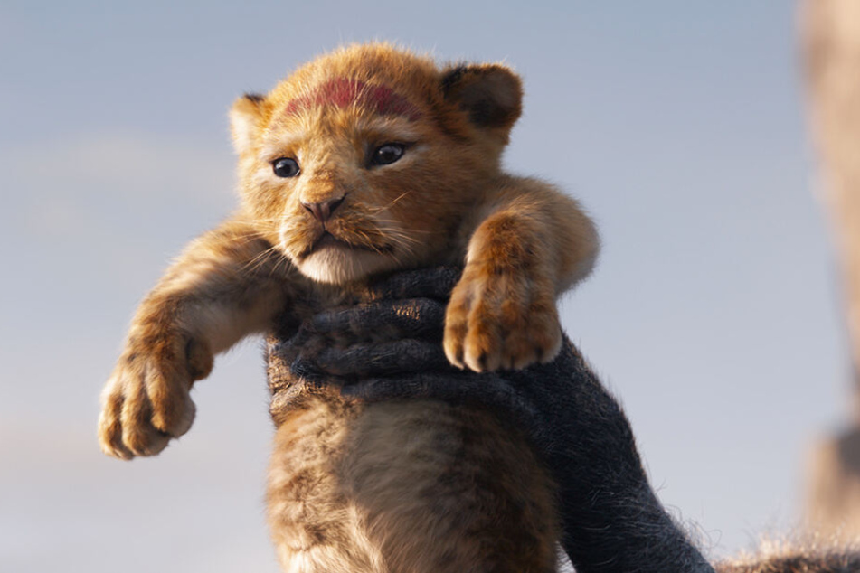 Die legendäre Geschichte vom Löwen Simba wurde neu verfilmt und kommt am 18. Juli 2019 in die deutschen Kinos.