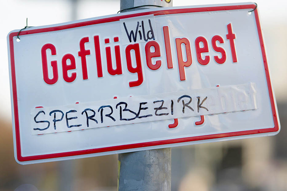 Der Bereich um den Obersee wird wohl auch weiterhin gesperrt bleiben. (Symbolbild)