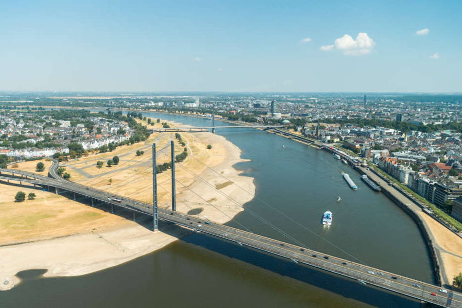 Eine Initiative aus Düsseldorf will den Kampf gegen den Müll im Rhein aufnehmen.