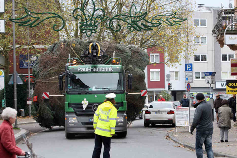 Mit einem Lkw wurde der Baum angefahren.