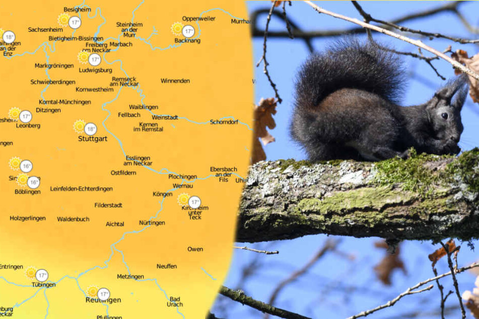 Am Donnerstag steigen die Temperaturen auf frühlingshafte Werte.