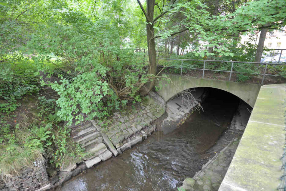 Der Pleißenbach soll nach den Vorstellungen der Stadt wieder ans Licht geholt
und langfristig renaturiert werden.