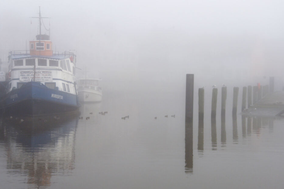 Nebel liegt über dem Hafen von Husum (Archivbild).