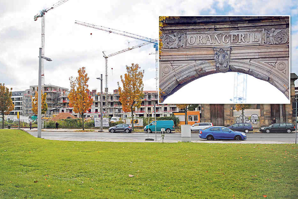 Die alte Orangerie auf der Ostra-Allee in Dresden.