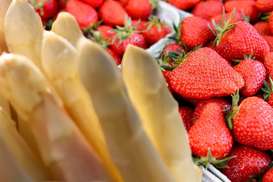 Über die Pfingst-Feiertage gibt es in Hessen Erdbeeren und Spargel satt (Symbolbild).
