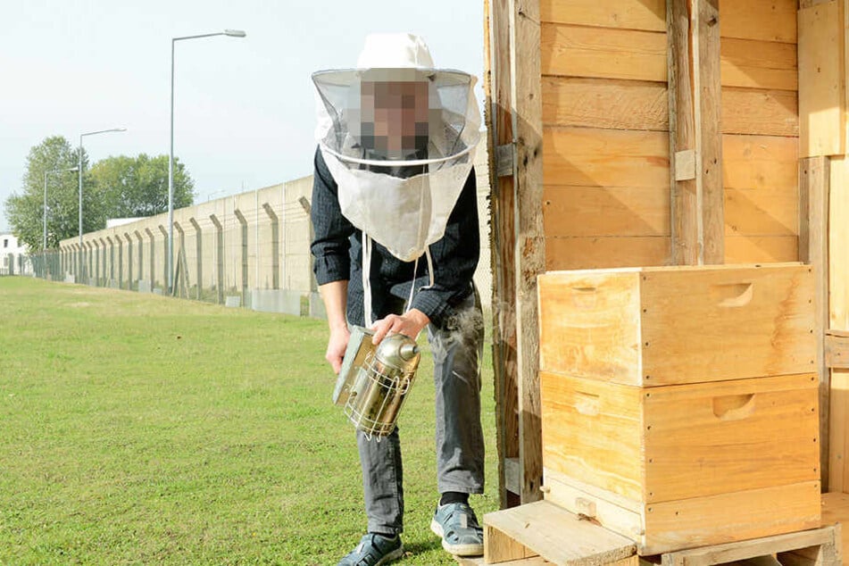 Arbeit ist ein Mittel zur Resozialisierung. Hier ein Insasse der JVA Zeithain, der sich um Bienen kümmert.