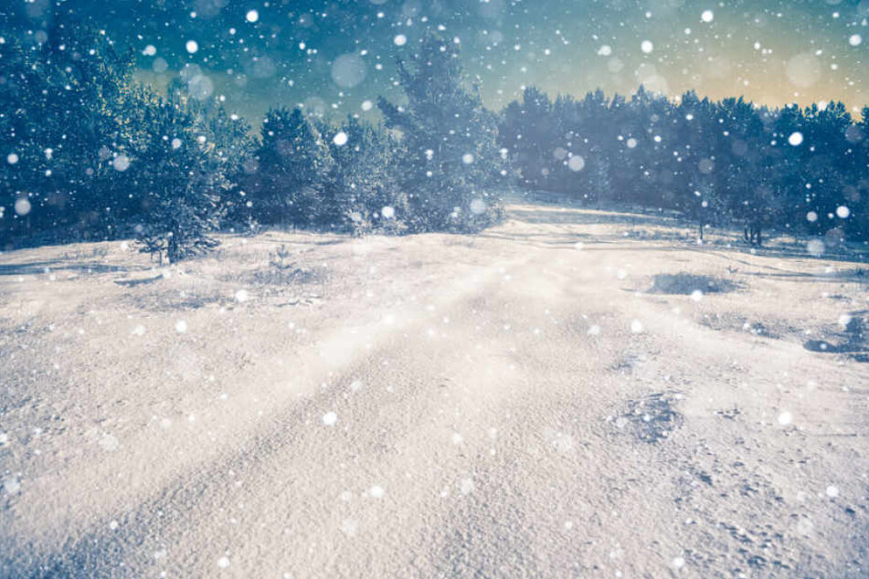 Winter und Kälte ist der Horror für die junge Kanadierin.