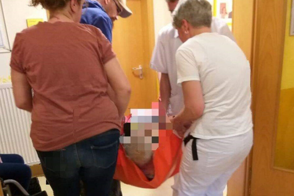 Gemeinsam mit Heimmitarbeitern packten die Tierretter an.