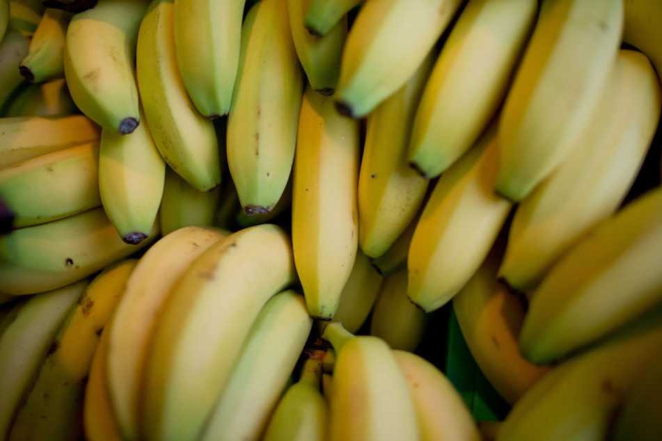 In Frankfurt wachsen Bananen!