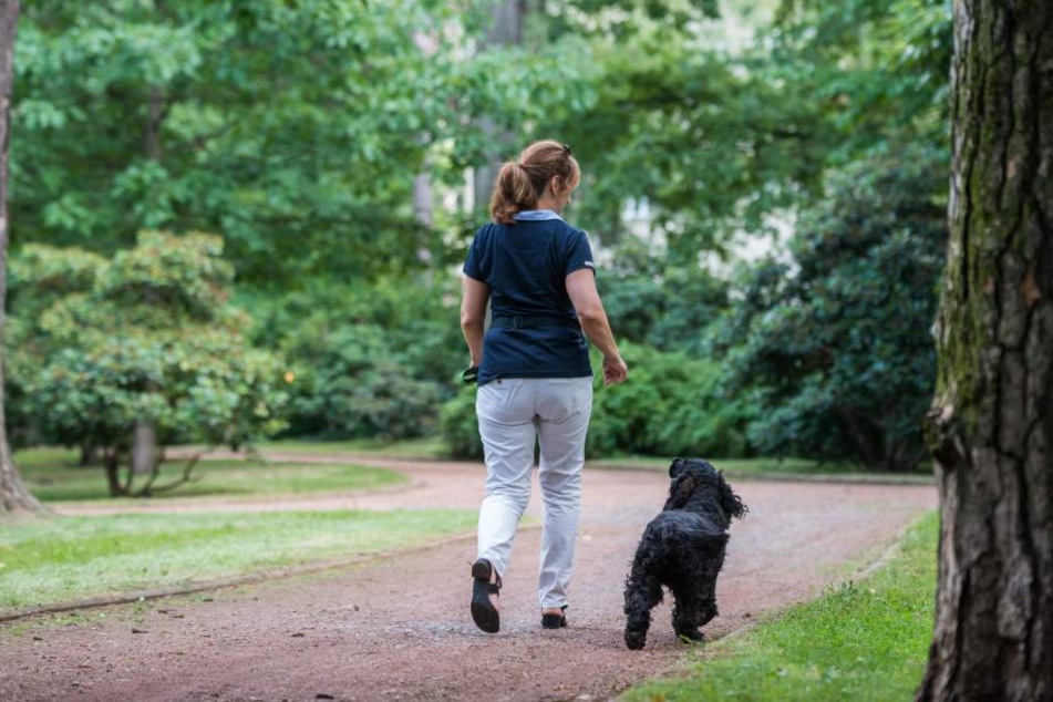 Politiker wehren sich gegen den Leinenzwang im Hermann-Seidel-Park.