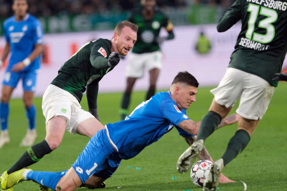 Steven Zuber und seine Hoffenheim-Teamkollegen geben sich kämpferisch gegen den VfL Wolfsburg.