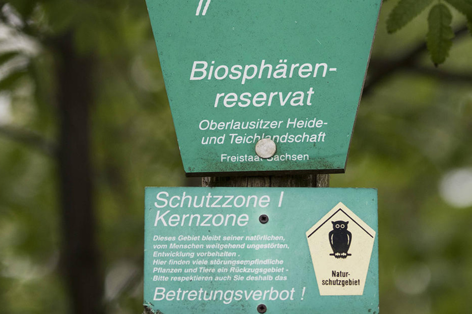 Im Biosphärenreservat soll wieder begrenzt Landwirtschaft betrieben werden.