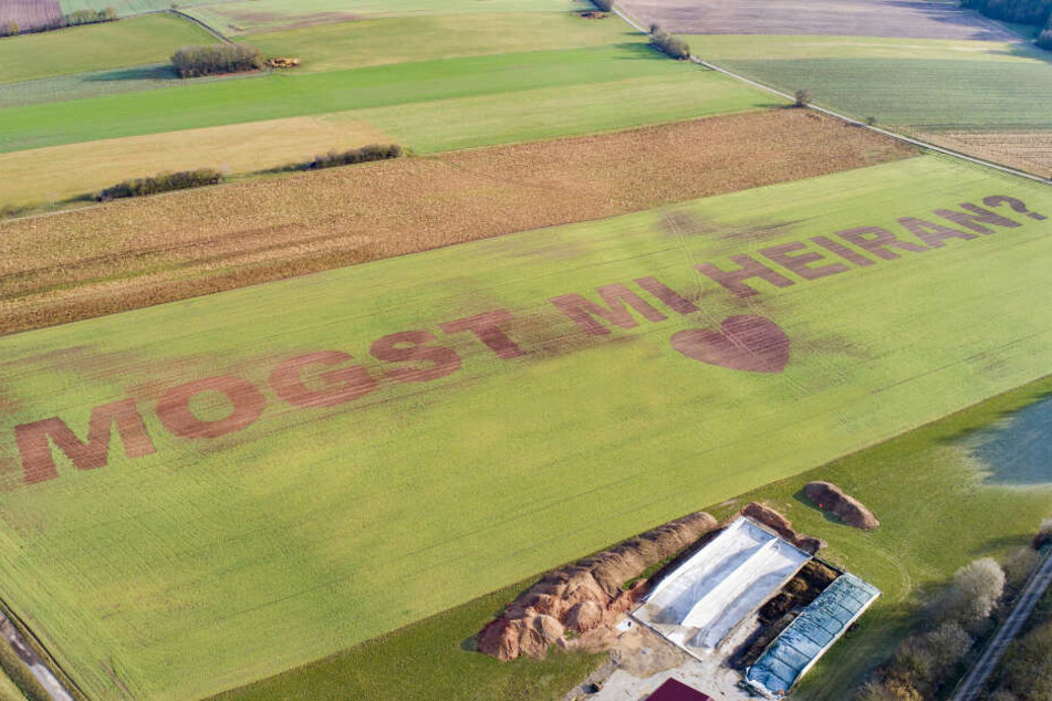 In überdiemensionalen Buchstaben steht in einem Feld "Mogst mi heiran?". Landwirt Florian Weiß aus der Oberpfalz hat seiner Freundin einen Heiratsantrag in ein Feld gesät.
