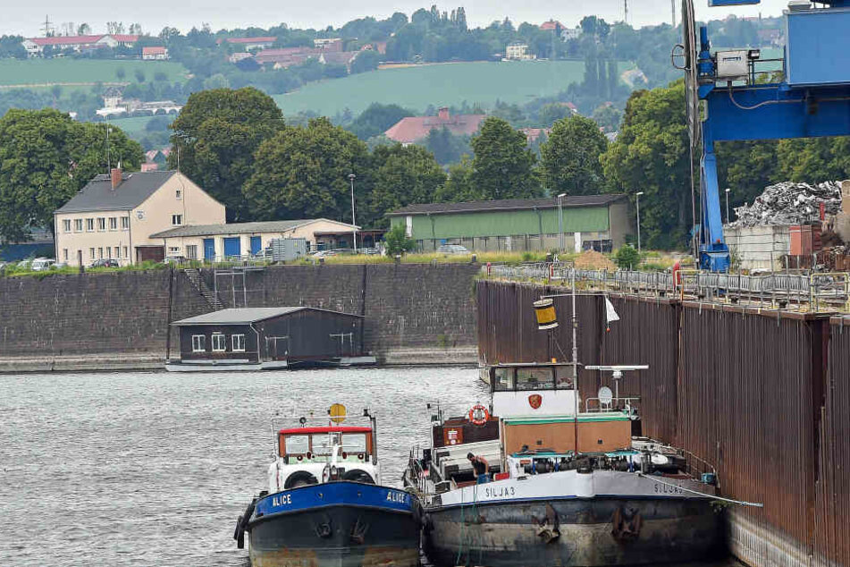 Der Dresdner Alberthafen. Hier werden normalerweise Güter vom Schiff auf die Straße oder auch umgekehrt ausgeladen. Derzeit aber nicht: Das Hafenbecken führt kaum noch Wasser.