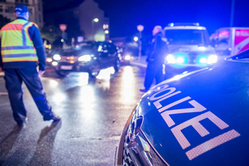 Der Fußgänger wurde durch den Unfall schwer verletzt und sein Hund starb. (Symbolbild)