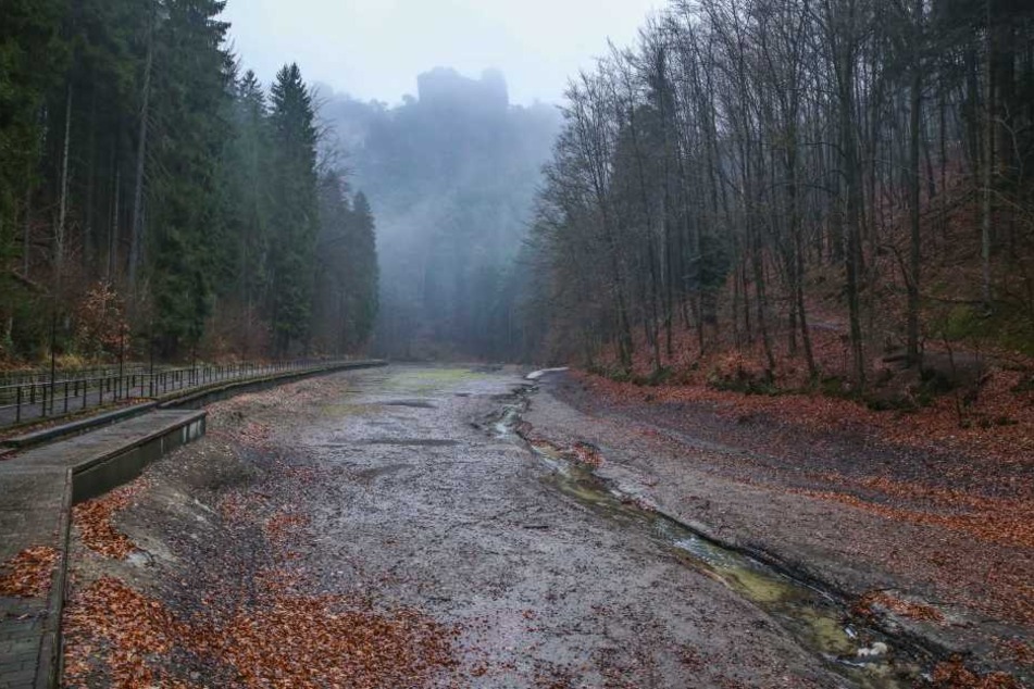 Normalerweise fahren hier Touristen in Ruderbooten, derzeit ist der Amselsee aber mal wieder abgelassen. Im Mühlteich 200 Meter unterhalb ist die Verschlammung kein Problem.