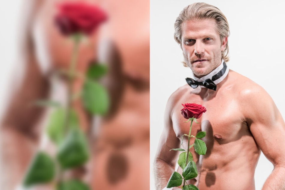 Durch seine Rolle als Bachelor, der in der gleichnamigen TV-Show Rosen an Frauen vergibt, gelangte Paul Janke zu Bekanntheit.