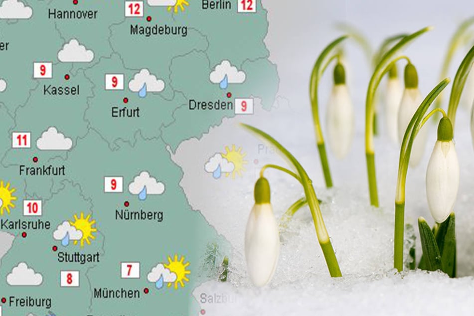 In den kommenden Tagen ist wieder mit Bodenfrost zu rechnen.