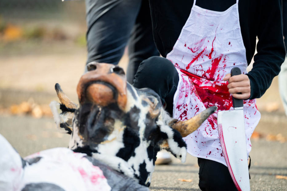 Nach dem Bekanntwerden werden der Tierquälereien auf dem Schlachthof in Oldenburg, demonstrierten viele Tierschützer vor dem Betrieb.