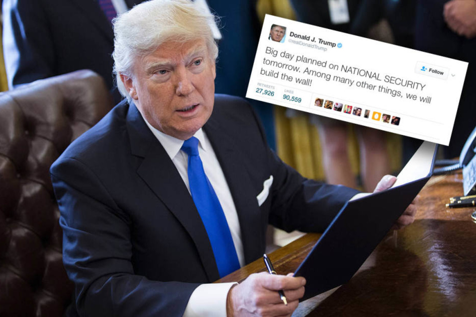 Der neue US-Präsident Donald Trump will den Bau einer Mauer an der Grenze zu Mexiko vorantreiben.