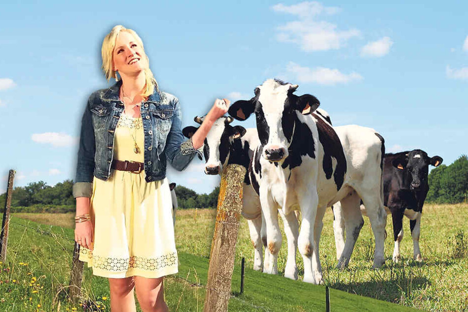 Ein bisschen wie Heidi nahm sich unsere Schlager-Hoffnung vor der
Alpenkulisse aus. Das gefiel natürlich auch einer Herde von Wiederkäuern.