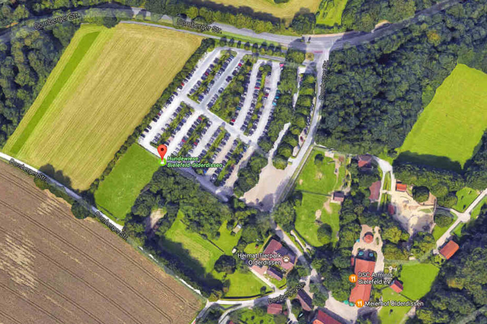 Der Parkplatz vom Tierpark Olderdissen grenzt direkt an die Hundewiese.