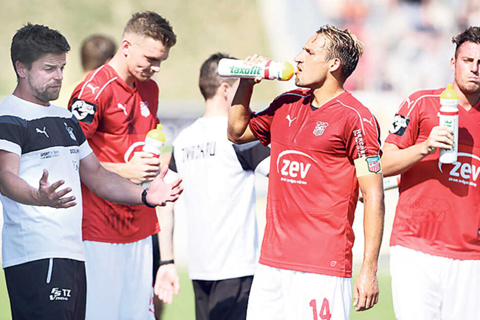 Trainer Torsten Ziegner (l.) steht beim FSV Zwickau derzeit nicht zur Disposition.