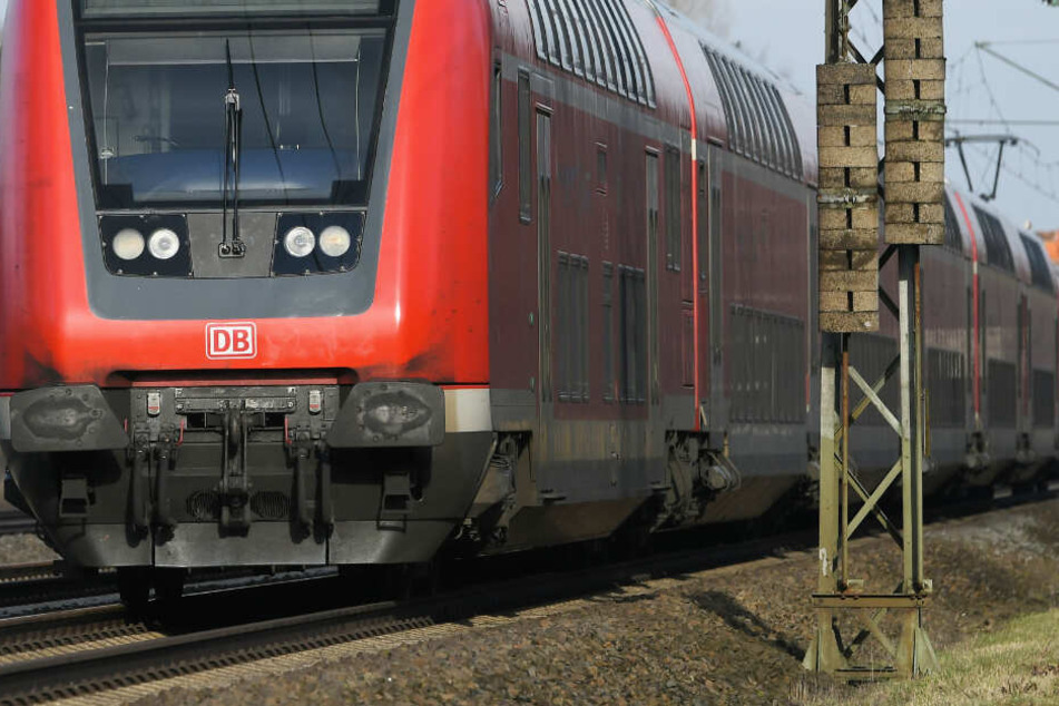 Ein Lokführer hat bei Schierling mit seinem Zug ein Wildschwein erfasst. (Symbolbild)