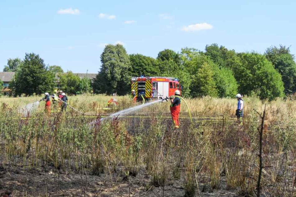 Die Kameraden löschten das brennende Feld.