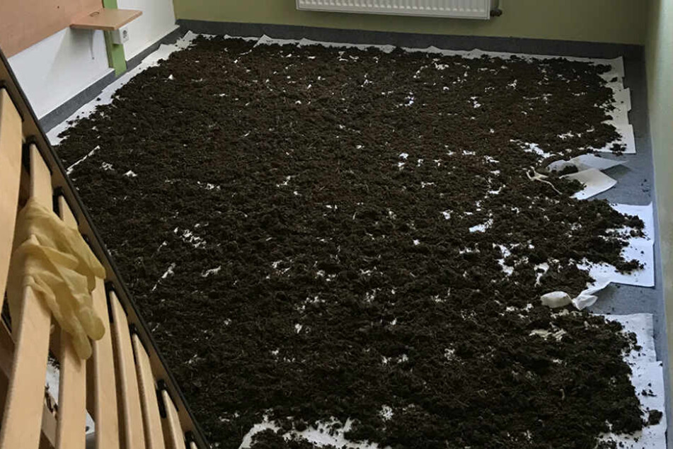 Die 14 Kilo Marihuana lagen verteilt auf dem Boden des Hotelzimmers.