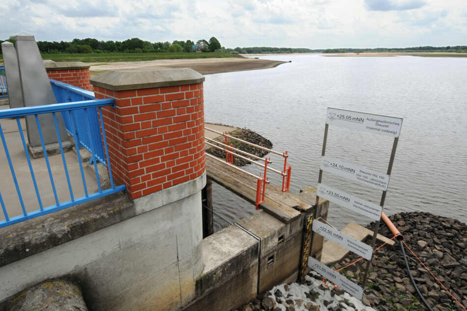 Der Blick auf den Stausee der Thülsfelder Talsperre zeigt den noch relativ niedrigen Pegelstand