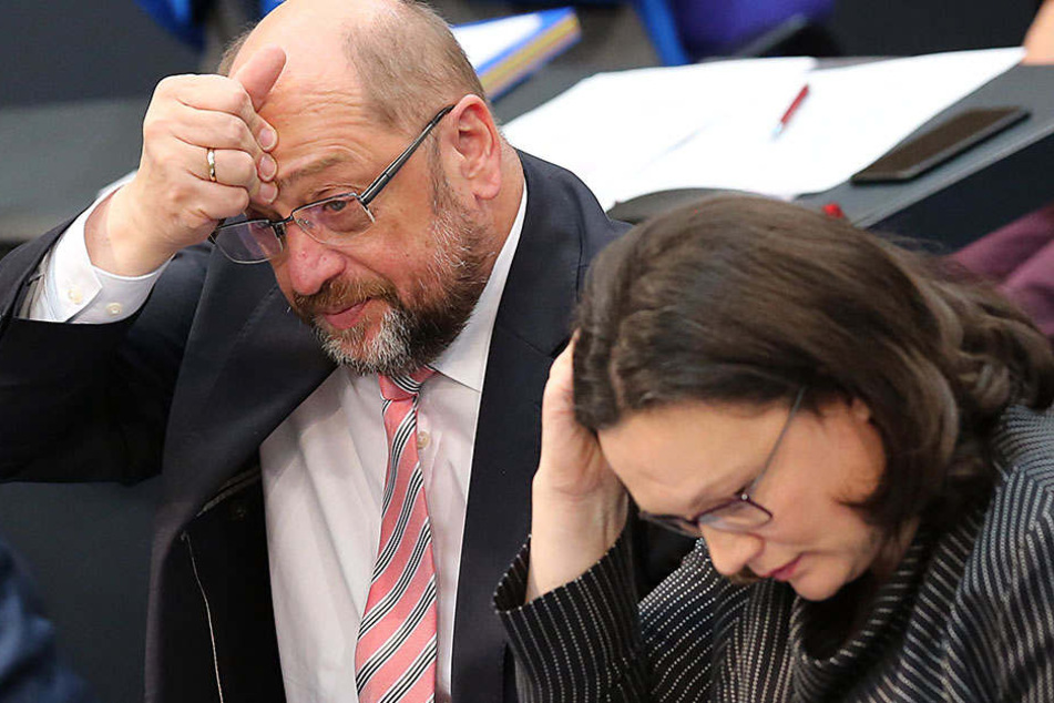 Die Unstimmigkeiten in der SPD zur Großen Koalition sorgen bei Martin Schulz und Andrea Nahes für Kopfzerbrechen.